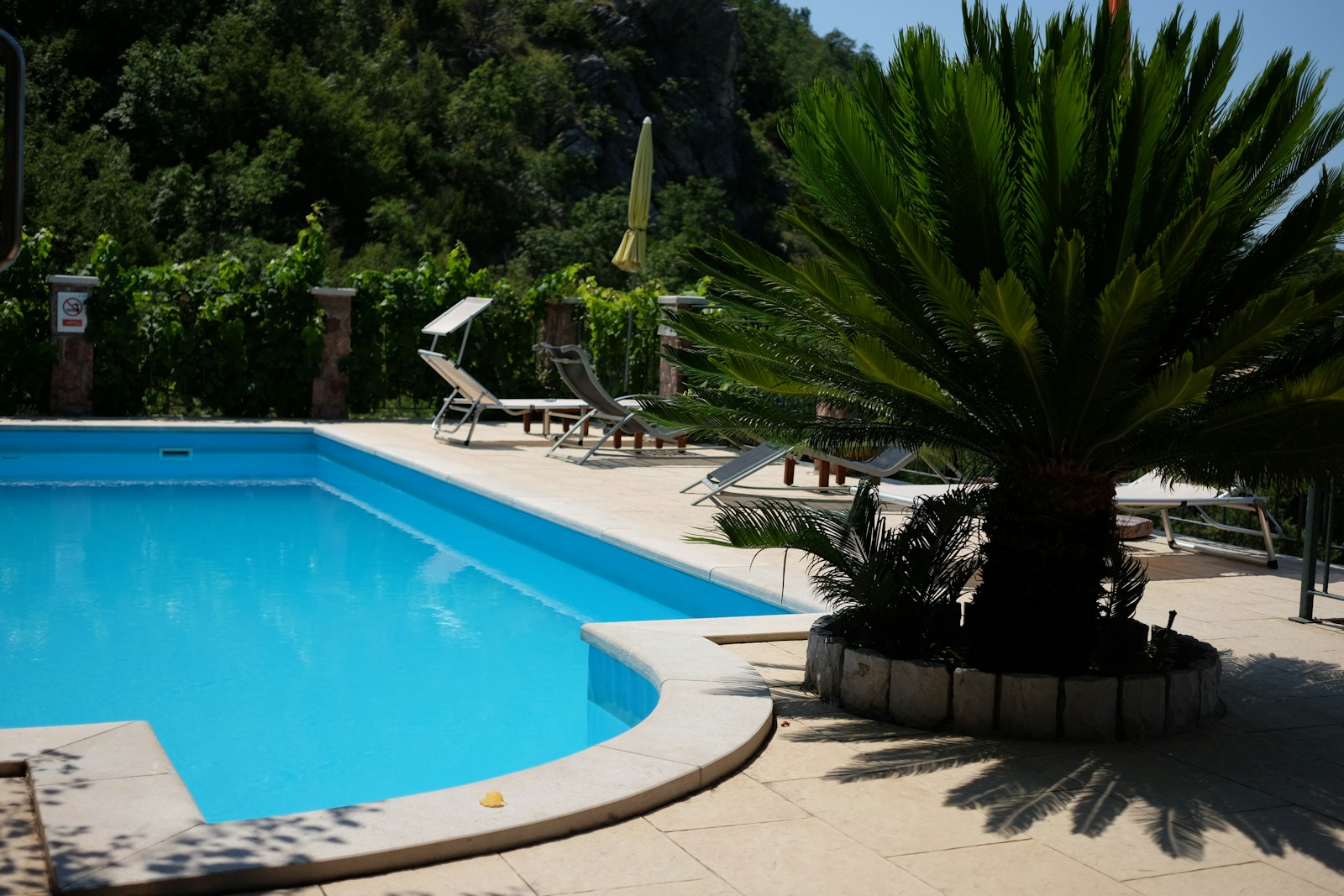 Have You Heard The Latest Buzz At Thomson View Condo