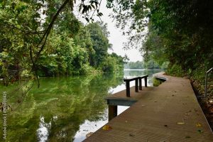 Upper Peirce Reservoir Park 