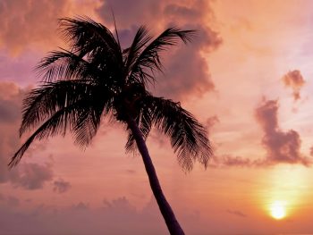 Pontian, Johor {{brizy_dc_image_alt entityId=