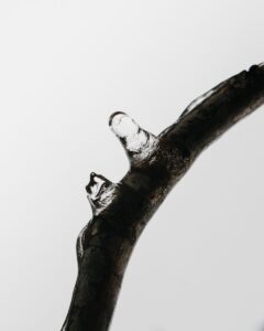 Water Leakage