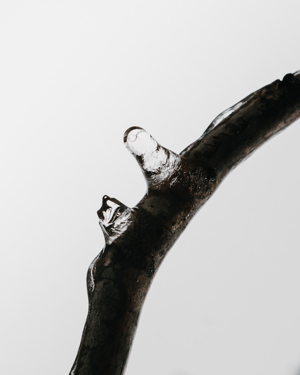 Understanding Water Leakage Repair Costs Clearly