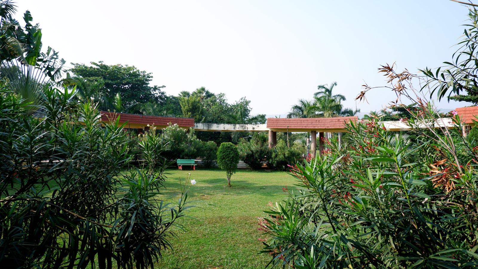 Discover Canopy Park’s Hidden Treasures