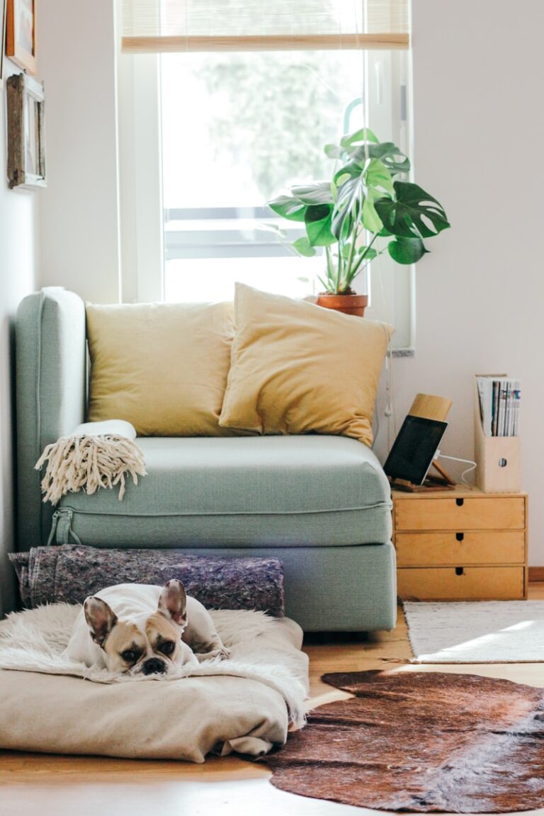 AIA Home Insurance