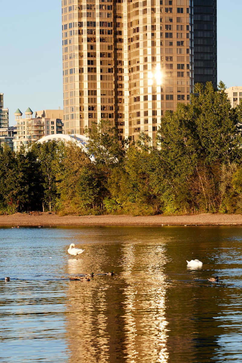 Secrets Agents Hide At Hedges Park Condo
